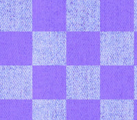 Denim Purple Checkers preorder 20
