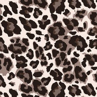 Snow Leopard preorder