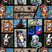 New! Blue y Hogwarts preorder