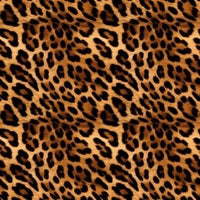 Cheetah Spots faux Fur preorder