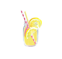 Panel Lemonade Glass Jar Straw preorder 18” x 18”