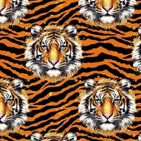 New! Tiger Golden Glittery Stripes  preorder