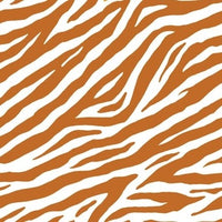 Creamsicle Orange Zebra Diagonal preorder