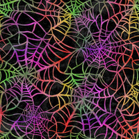 Rainbow spider Web PO